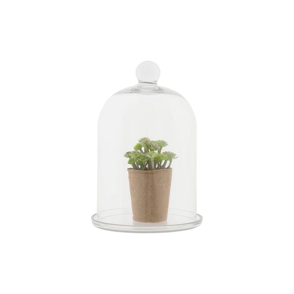 12" x 7.5" Glass Cloche with Glass Tray - 3R Studios