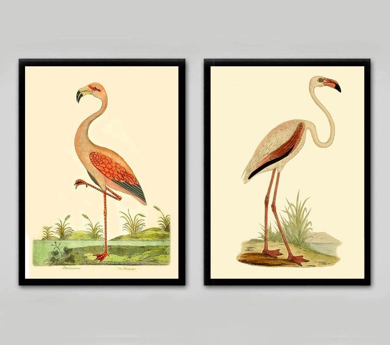 2 Vintage Bird prints, Flamingo Prints, wall art birds, bird lover gift, home decor, great gift. Tropical Decor, Nature prints.