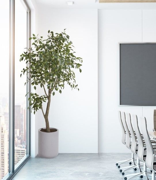 Commercial Artificial Ficus Tree with Artisan Planter