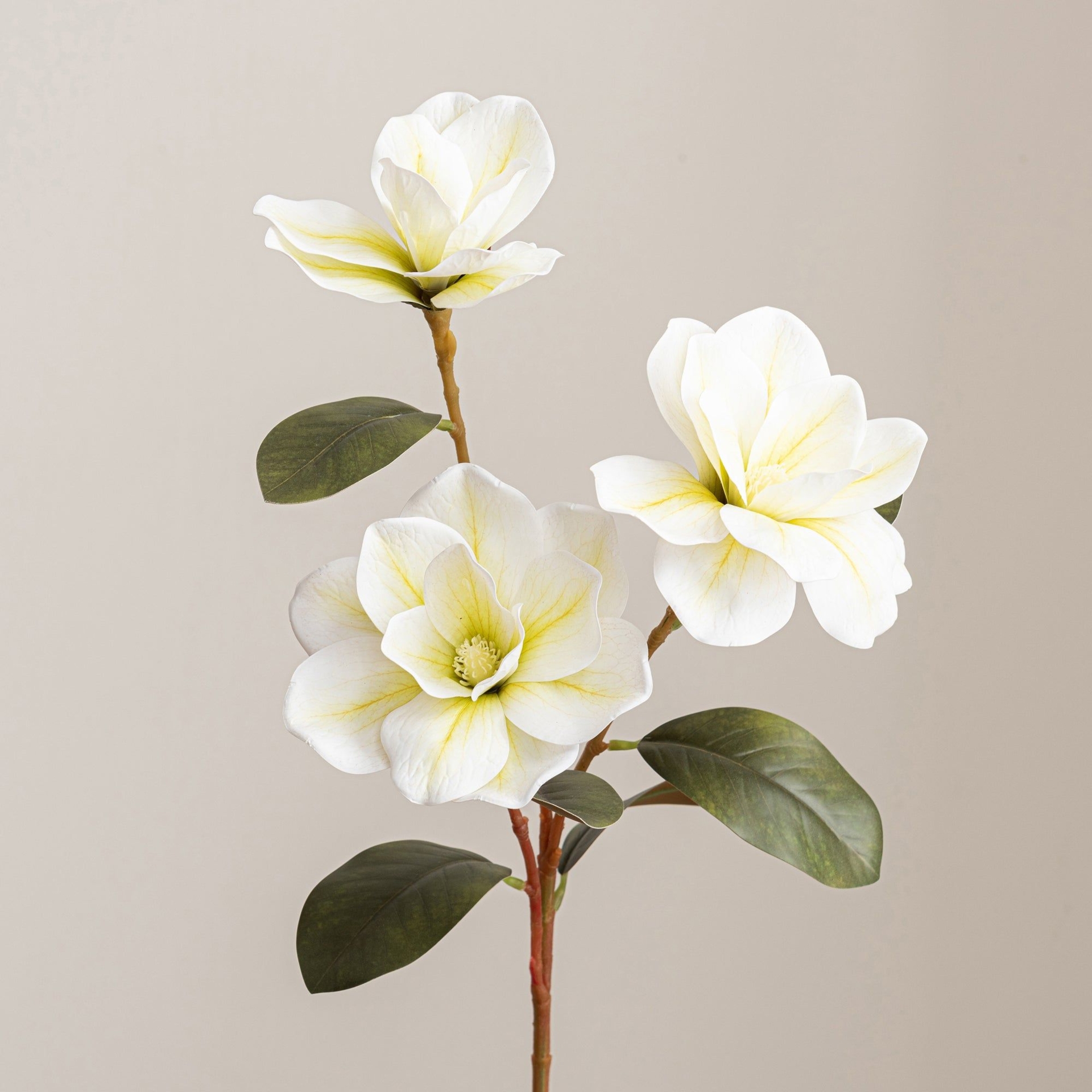 Dunelm Cream 80cm Magnolia Spray