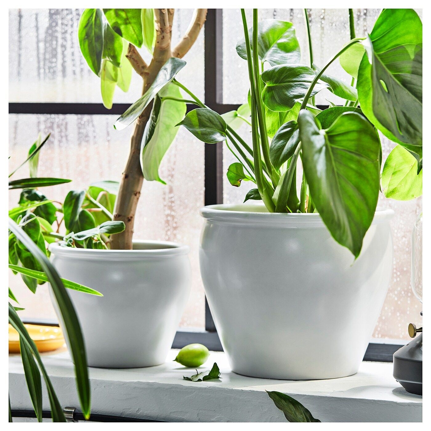 IKEA - AMBRARNN Plant pot, 19 cm, Stoneware, Indoor plant pots