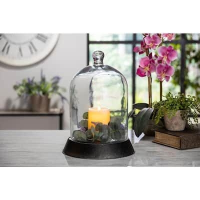 Lone Elm Studios 12.99 in. H Black Glass and Metal Cloche