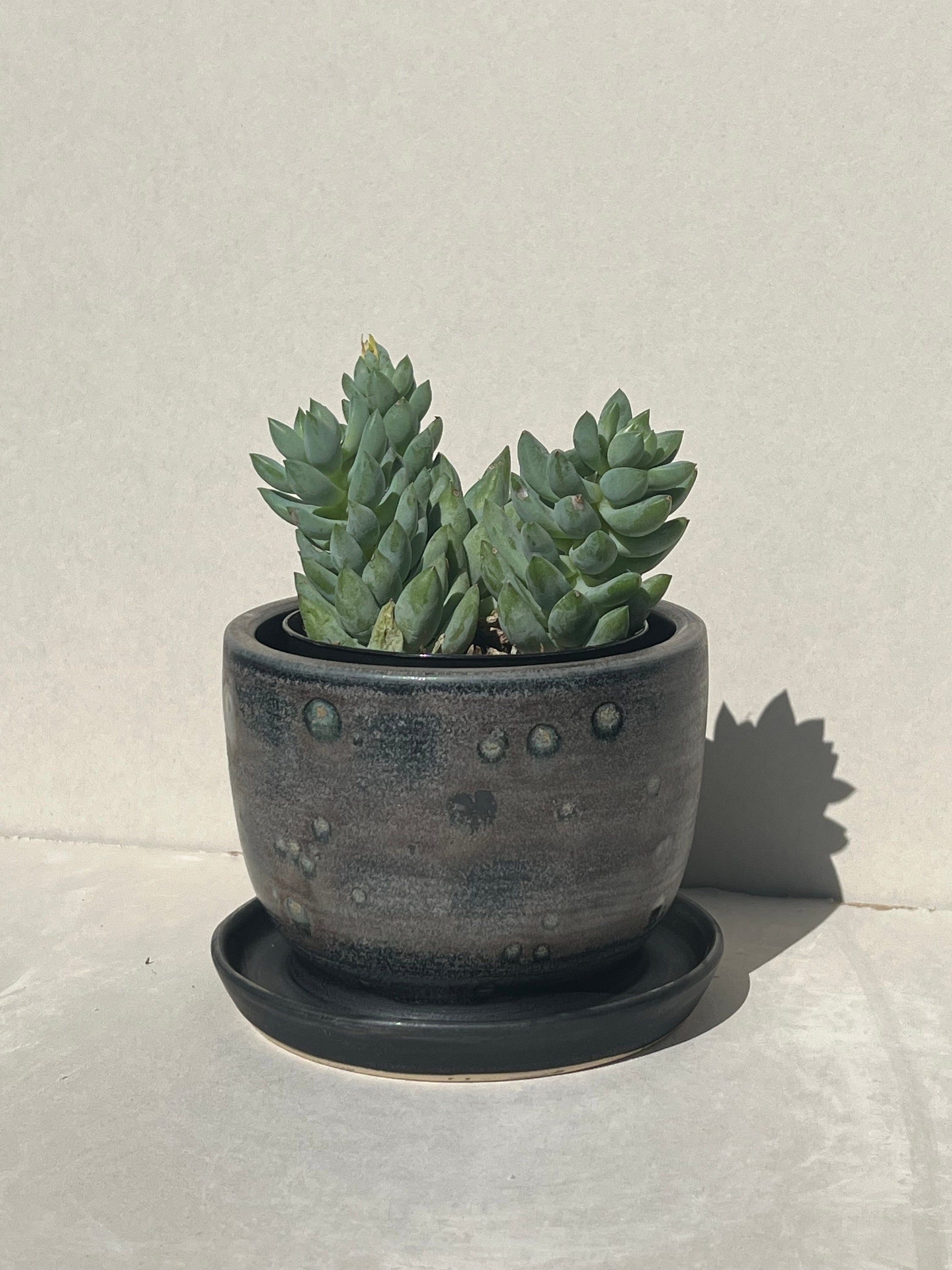 Speckled Glazed Planter with Attached Saucer | Pot WITH OUT Drainage | Plant Pot | Flower Pot | Ceramic Indoor | Small |