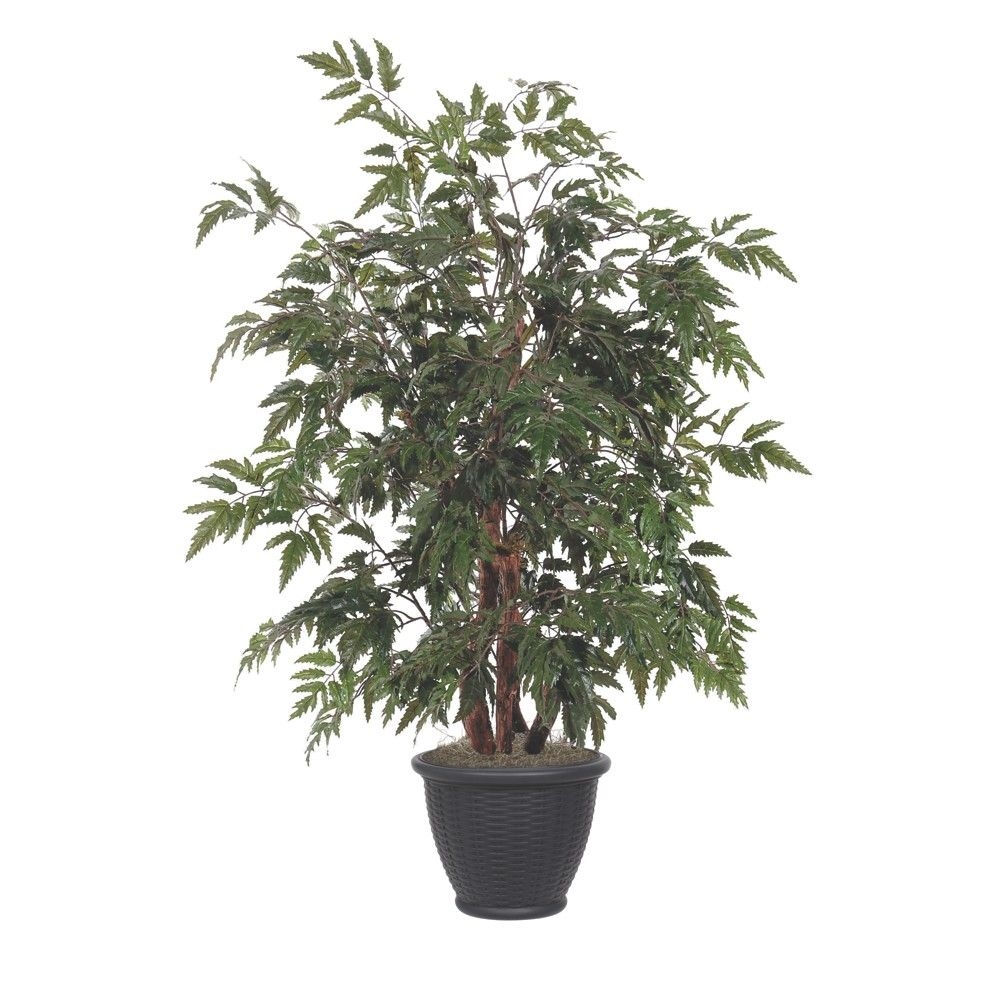 Vickerman 4' Artificial Ming Aralia Bush, Brown Plastic Container. In a 12"Lx12"Wx9"H base.