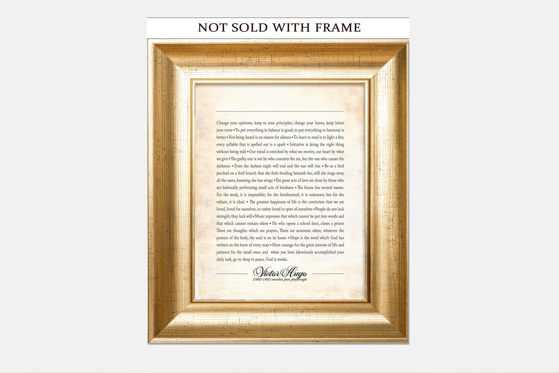 VICTOR HUGO COLLECTION of Inspirational Quotes, Book and Literature Lover, Literary Office Company Giclee Art Print (Unframed)