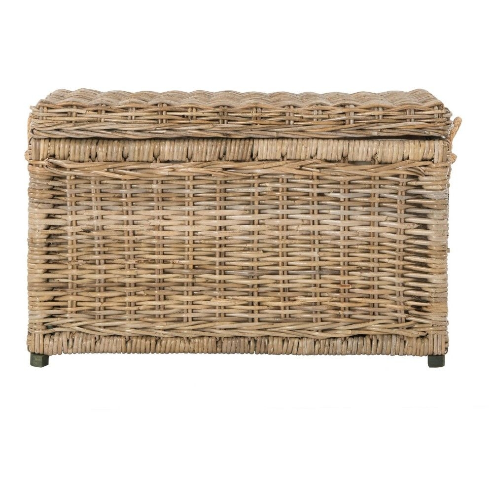 happimess Jacob 30" Wicker Storage Trunk, Natural