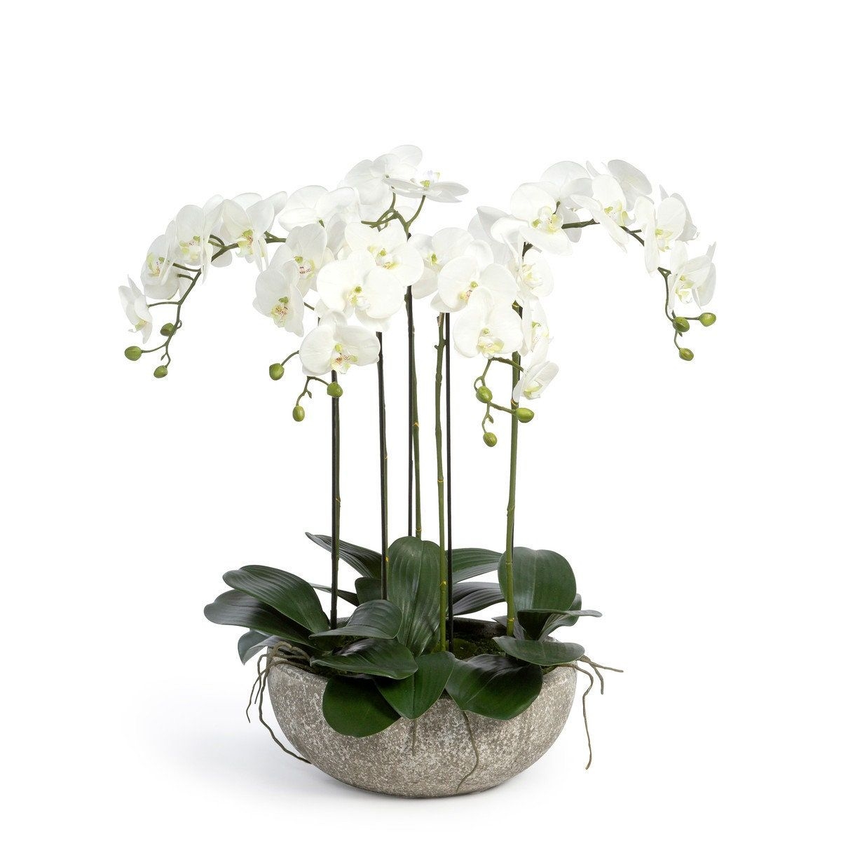 Orchid blossom, Artificial flowers in concrete planter box, faux floral display