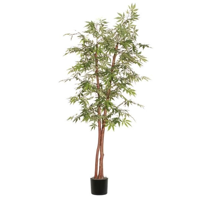 6 ft. Japanese Maple Deluxe Tree - Green