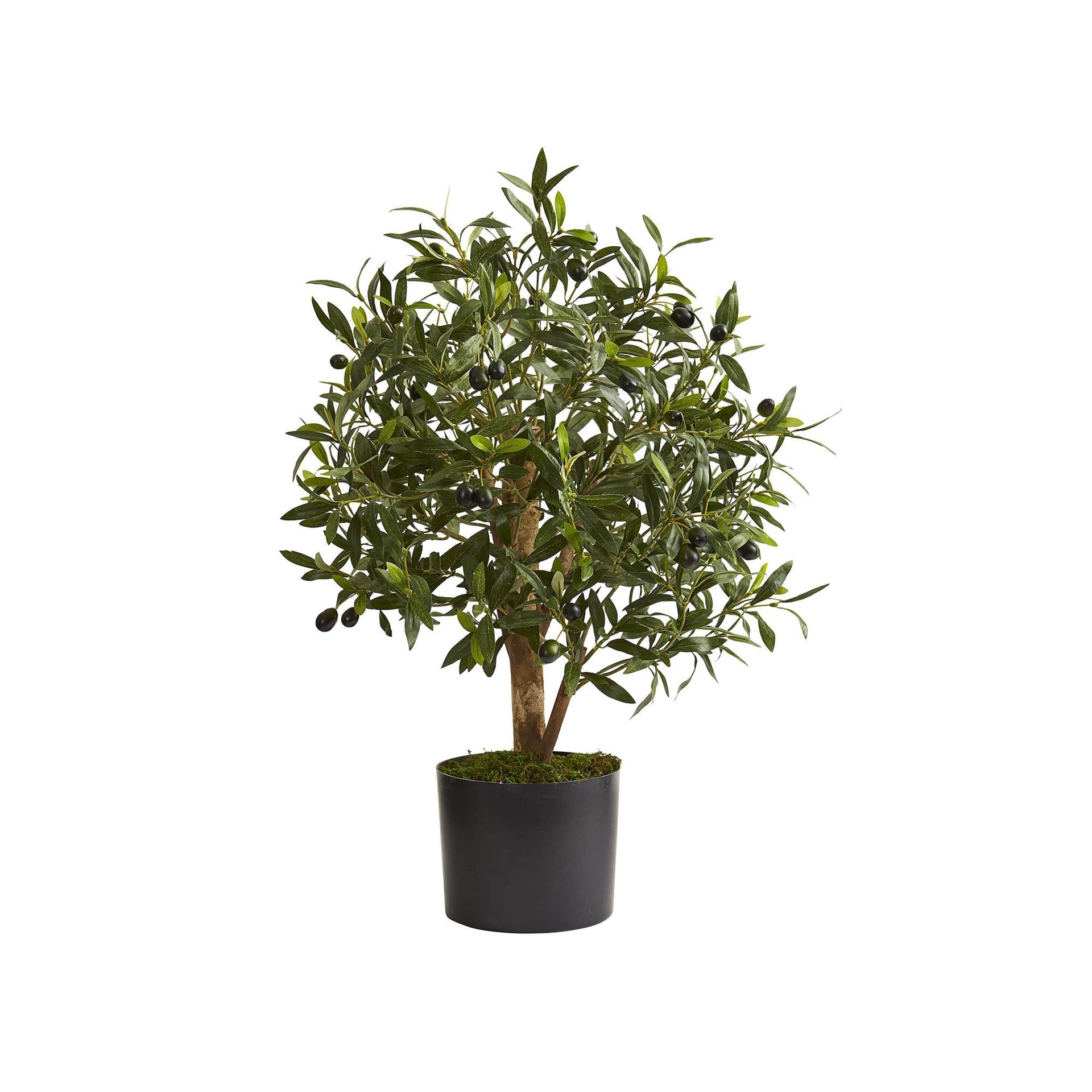 nearly natural 29 In. Olive Artificial Tree, Green