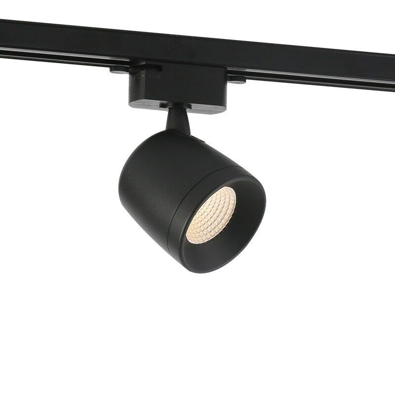 Aisilan Led Track Light Heads Spotlights Track Surface Mounted Lamp 7W Aluminum Track Rail Lighting Fixture For Living Room Shop Black-7W Natural White-China