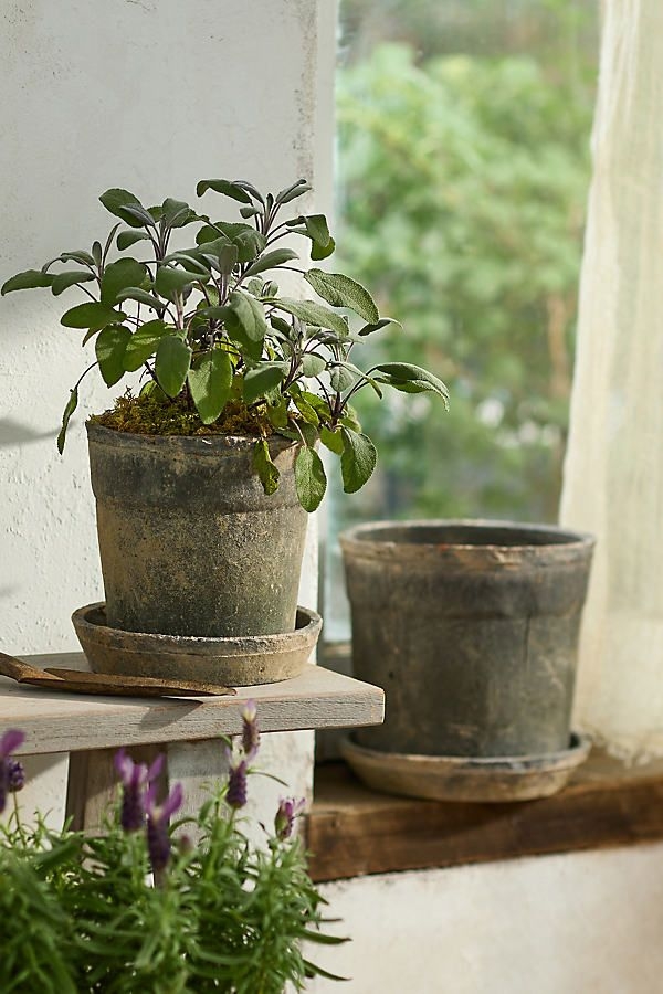 Earth Fired Clay Wide Rim Pot + Saucer Set