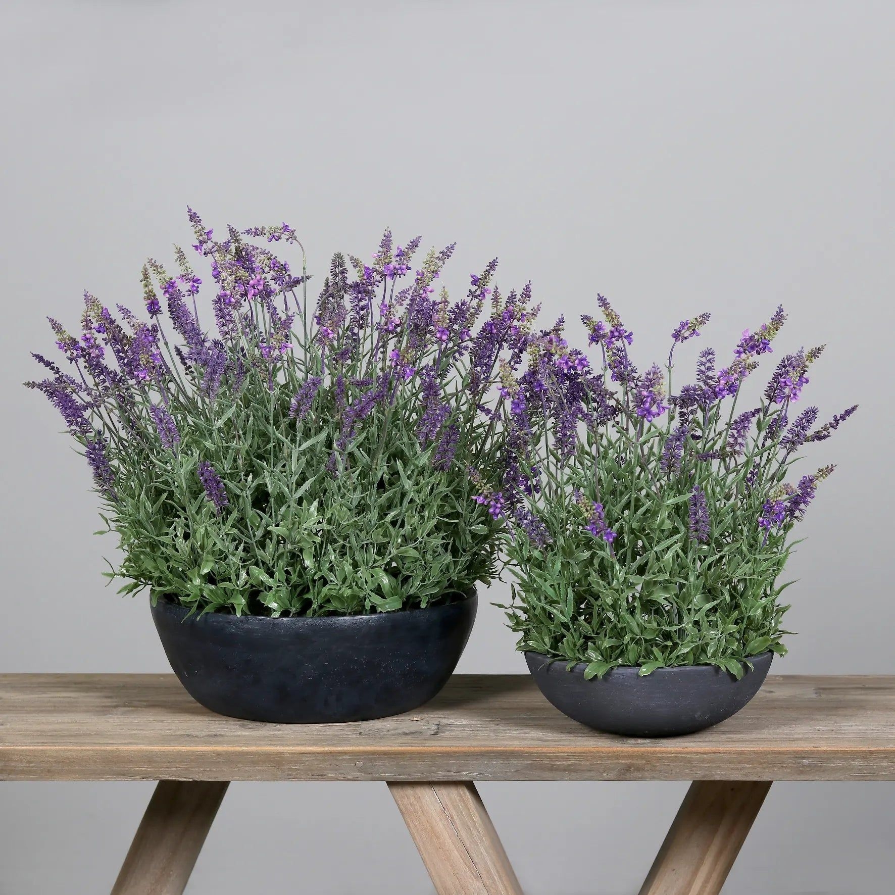 Knstlicher Lavendel - Thorfinn | 60 cm | in grauer Schale