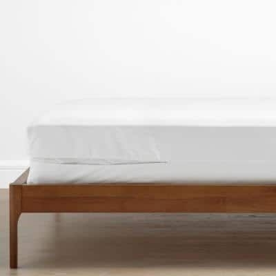 Company Cotton 9 in. Full Mattress/Box Spring Protector