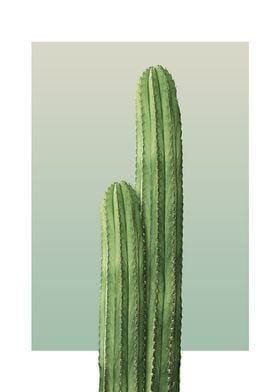 Metal Poster Two Cactus In Olive
