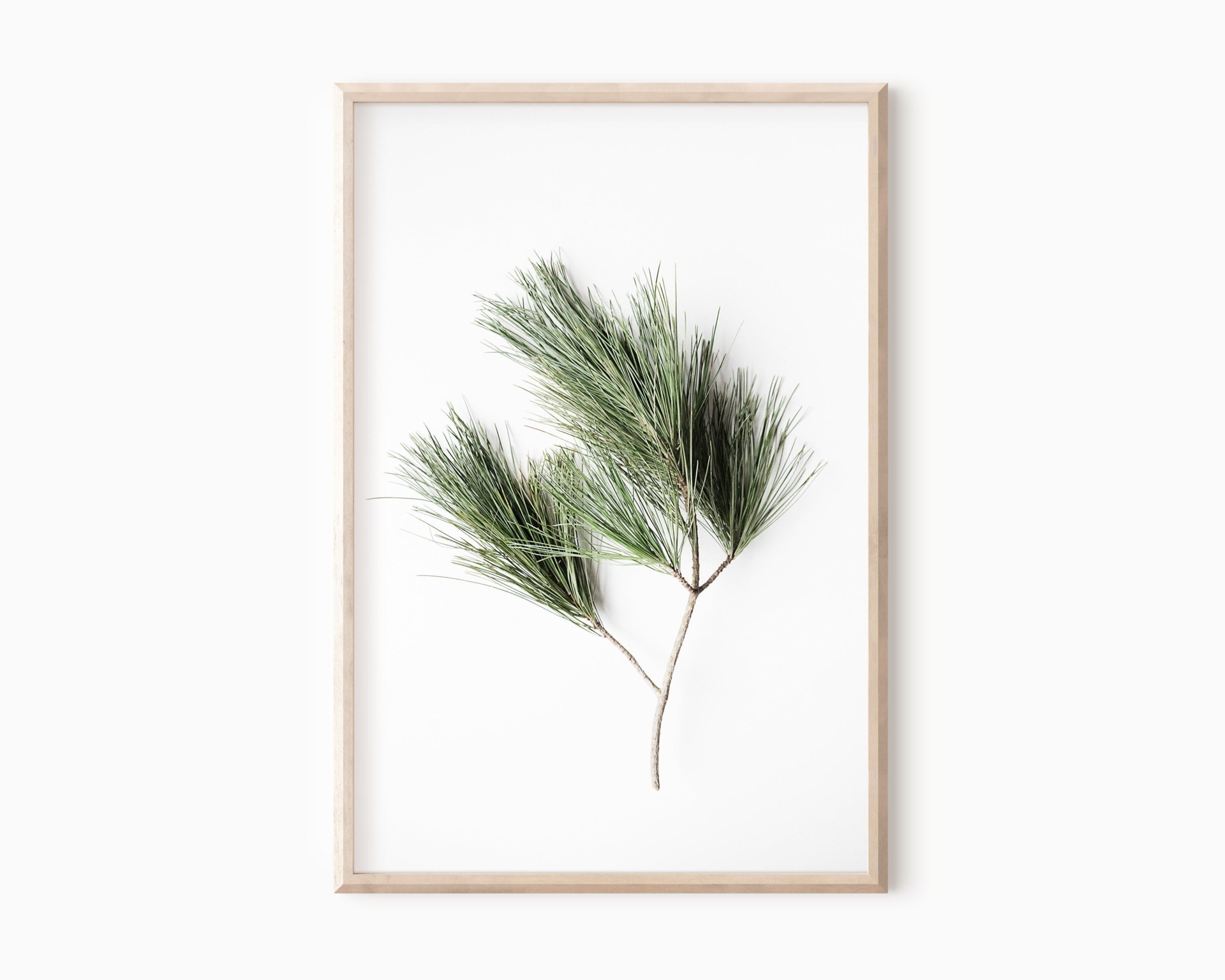 Pine Branch Print | Minimalist Wall Decor | Tree Branch Art | Forest Photography Printable Art #1156