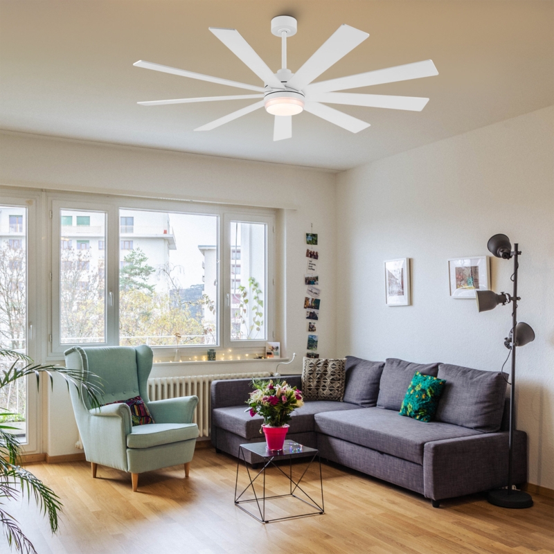 Babrak 65'' Ceiling Fan with LED Lights