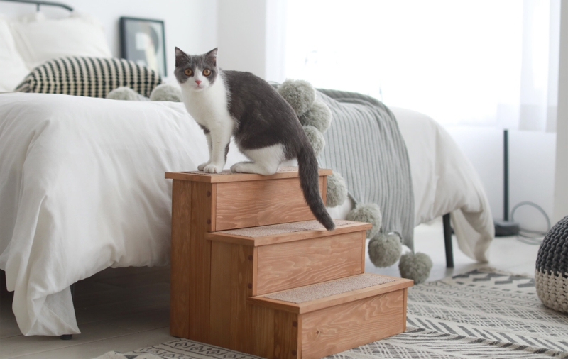 Batton 3 Step Pet Stairs