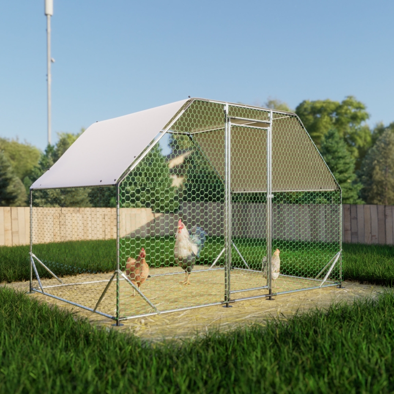 Desarie Walk In Chicken Coop with Chicken Run