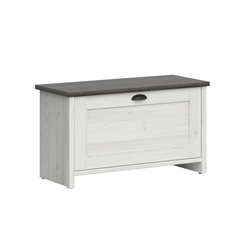 Eagan Shoe Storage Cabinet