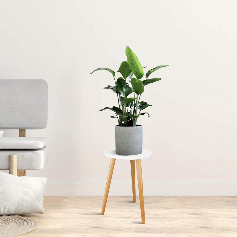 Kuan Plant Stand