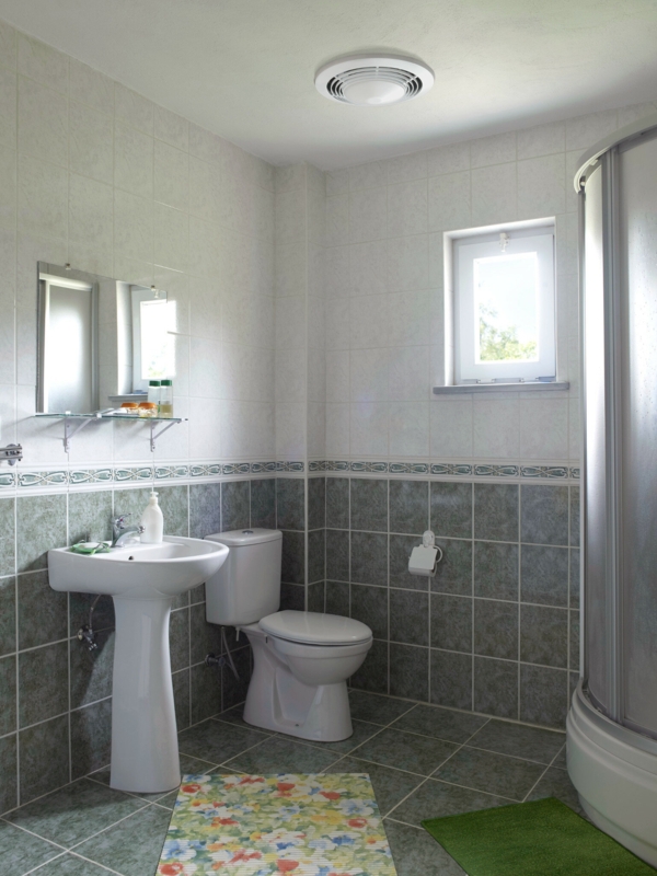 100 Cubic Feet Per Minute Bathroom Fan