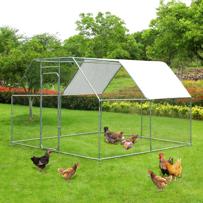 Adriell 64.7 Square Feet Chicken Run For Up To 8 Chickens | Foter