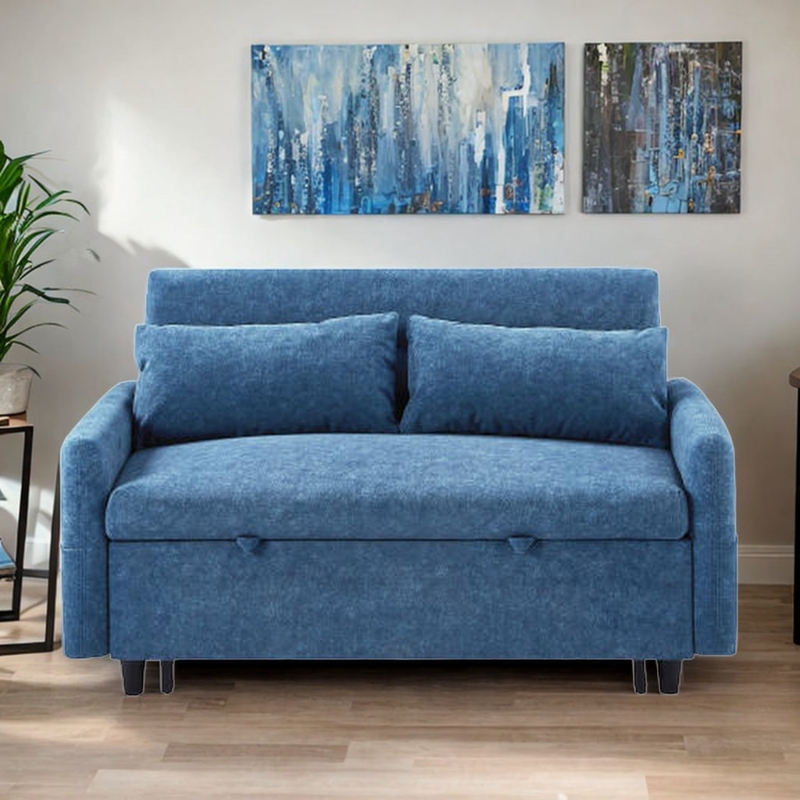 Chappelka 55.1'' Sofa Bed Pull Out Sleep Sofa Loveseats Couch