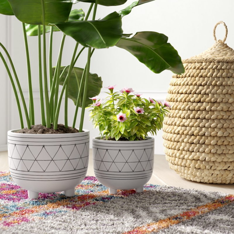 Tall Ceramic Planters - Foter