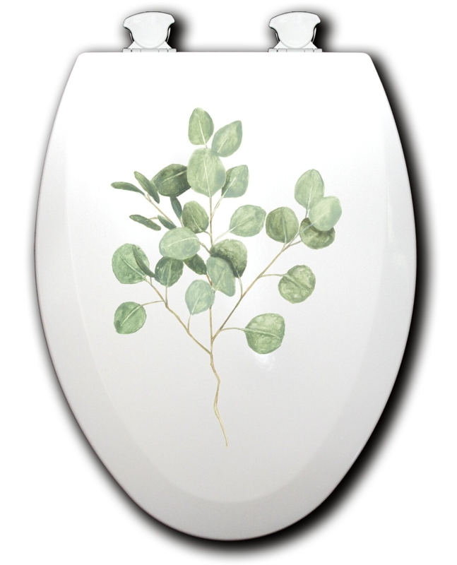 Elongated Toilet Seat and Lid