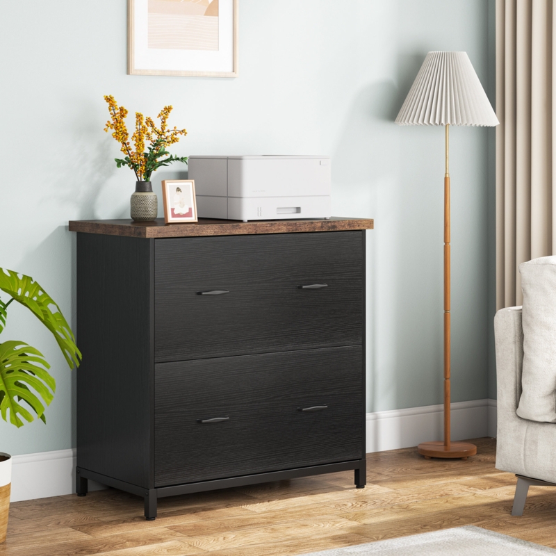 Helane 30.7'' Wide 2 -Drawer File Cabinet