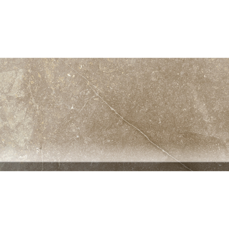 Magic Act 12'' L x 6'' W Porcelain Stone Look Cove Base Tile Trim