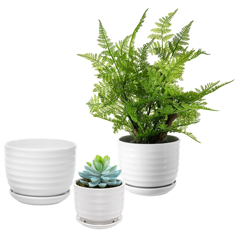 Nutan Ceramic Pot Planter