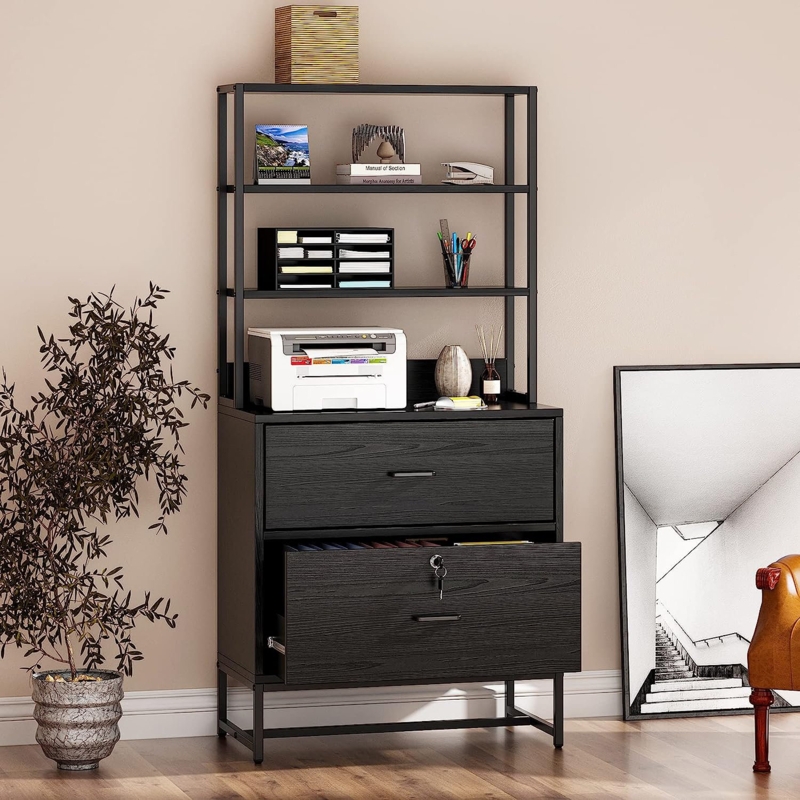 Vertical File Cabinets for Home Office with Lock and 2 Drawers, Office Organization and Storage