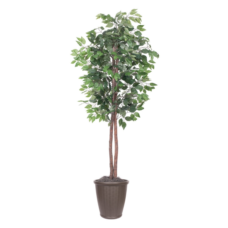72'' Faux Ficus Tree in Pot