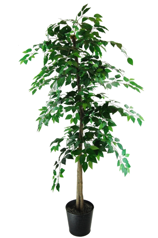 Wilmot 72'' Faux Ficus Tree in Metal Planter