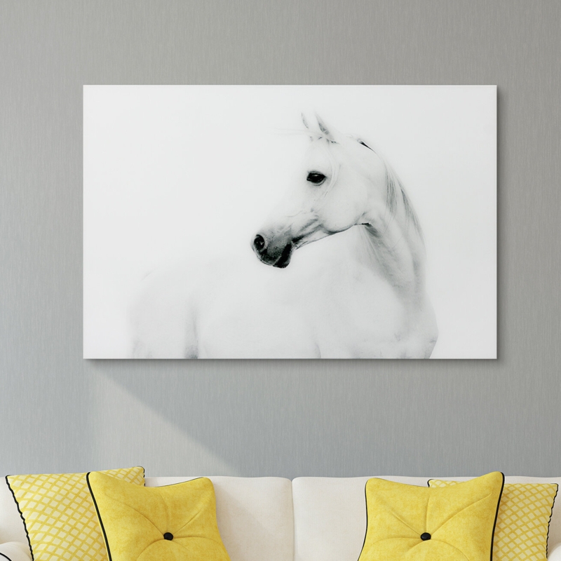Blanco Stallion Horse On Glass Print