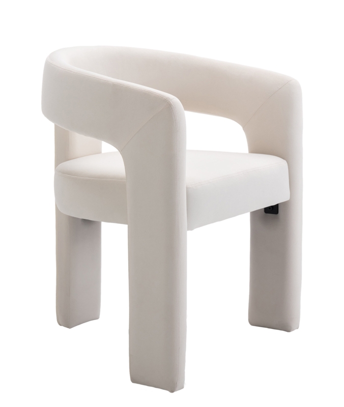 Dalpat Velvet Iron Arm Chair