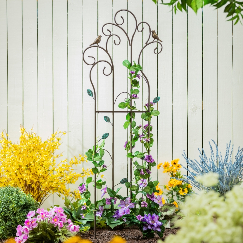 Duquesne 60 H x 20 W Metal Birds and Scrolls Garden Trellis | Foter