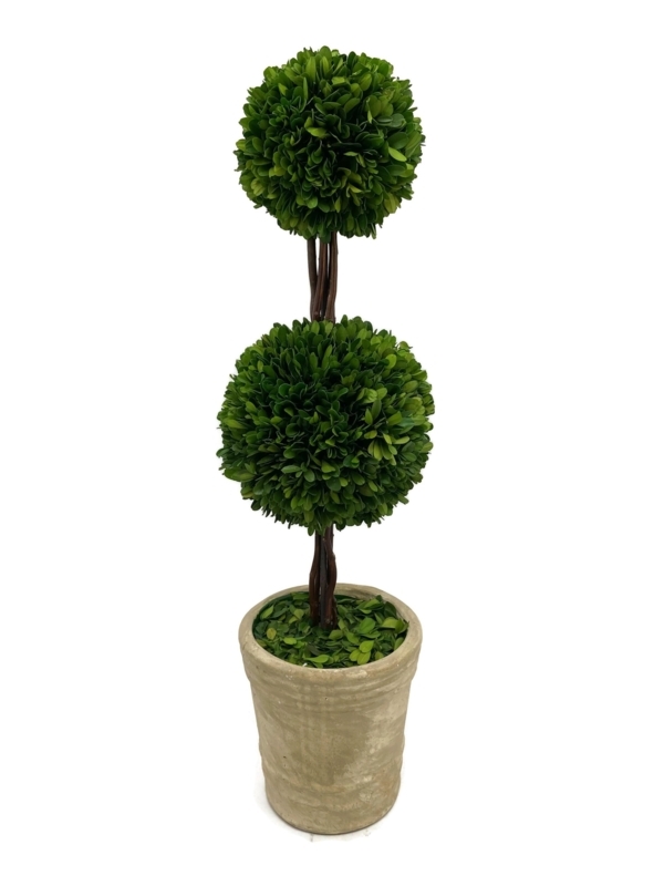 Karina 28'' Boxwood Topiary in Decorative Vase