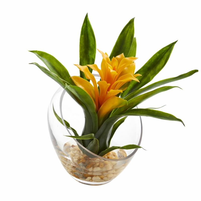Bromeliad Arrangement in Vase