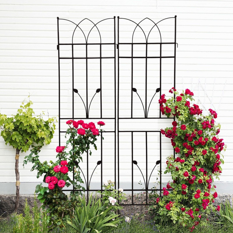 Brysin 71'' H x 17.7'' W Iron Arched Trellis