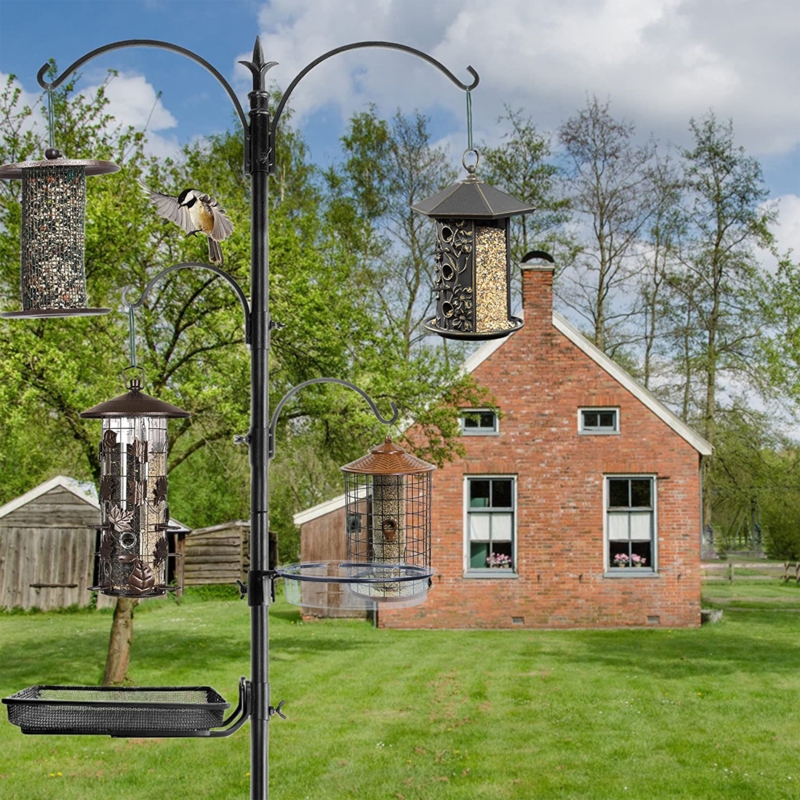 Metal Freestanding Feeding Station
