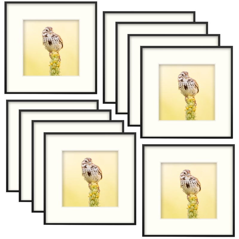 Aillene Metal Picture Frame - Set of 10