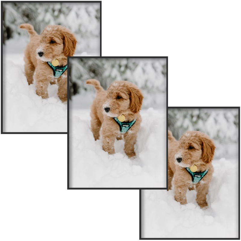 Aillie Metal Picture Frame - Set of 3