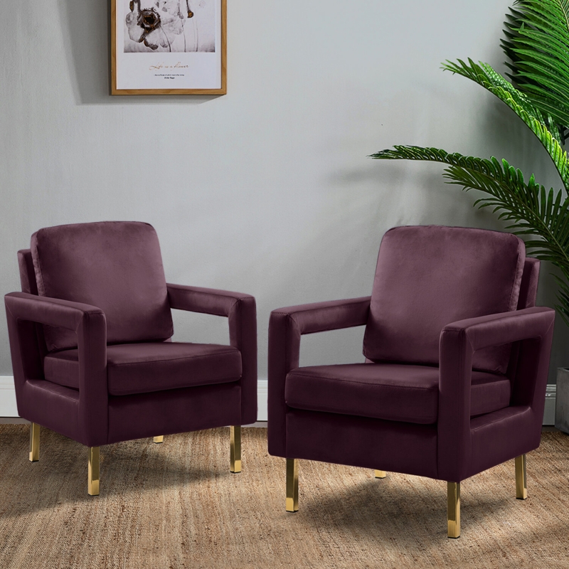 Clayne Velvet Armchair