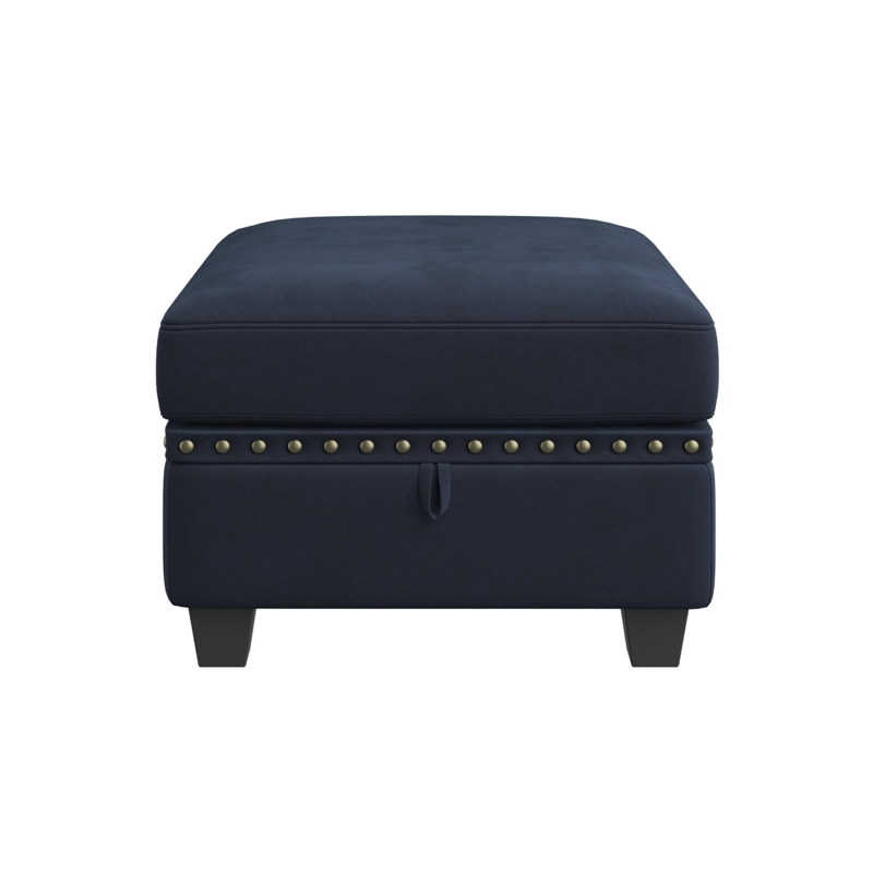 Eleigha Velvet Storage Ottoman