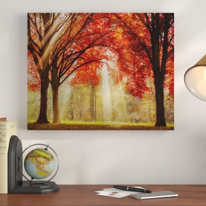 Everland - Picture Frame Photograph Print on Canvas