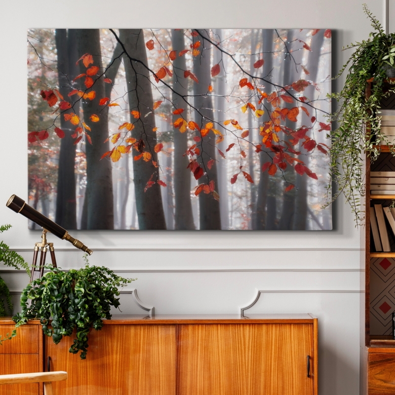 Falling Moments - Wrapped Canvas Photograph Print