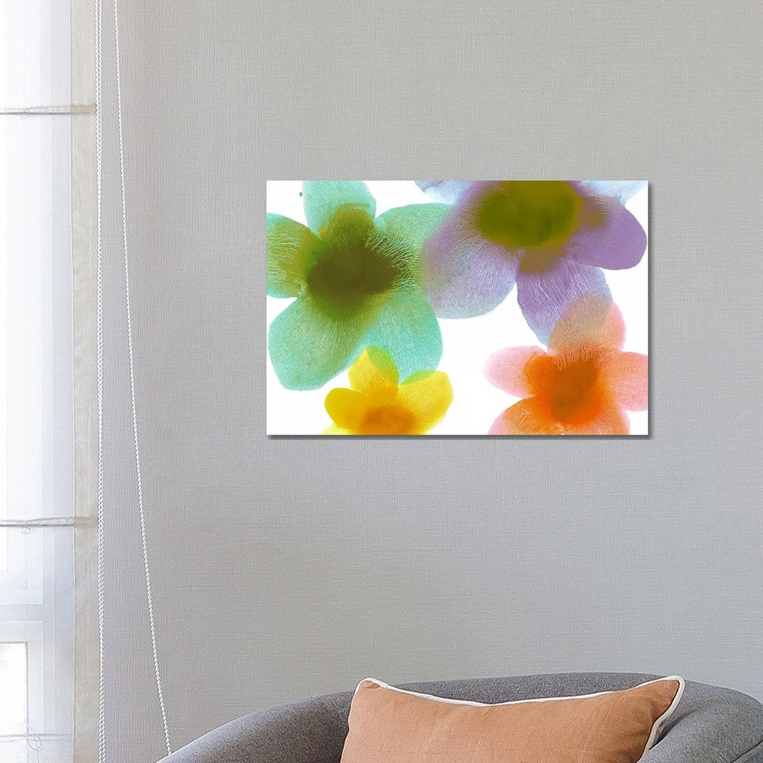 Floral Blooms II by Hannah Carlson - Wrapped Canvas Art Prints