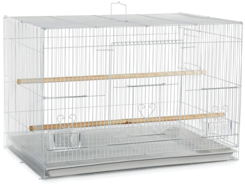 Bird Aviaries For Sale | Foter